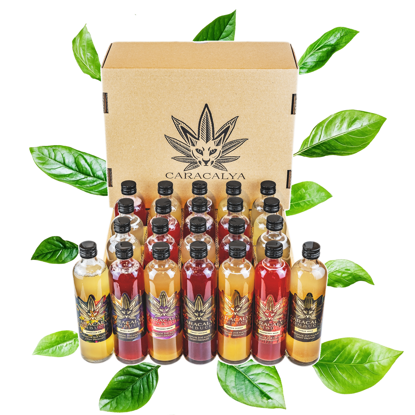 Caracalya kombucha for a month (box 20x350ml)