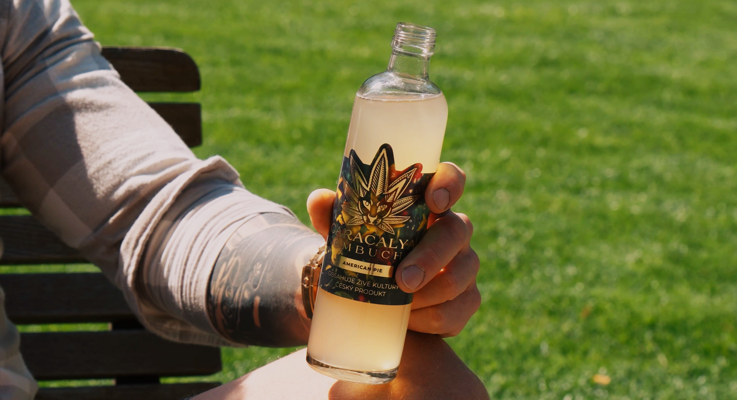 Caracalya Kombucha BOX 24 servings
