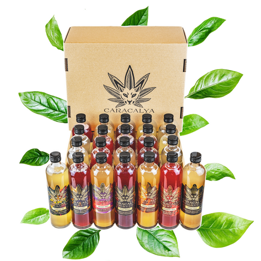 Caracalya Kombucha BOX 12 servings