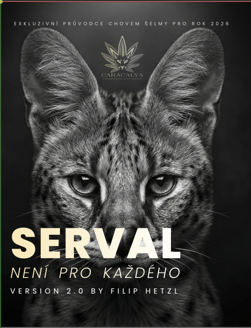 Exkluzivní průvodce chovem servala pro rok 2026